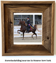 horseback riding near me in Monroe, New York